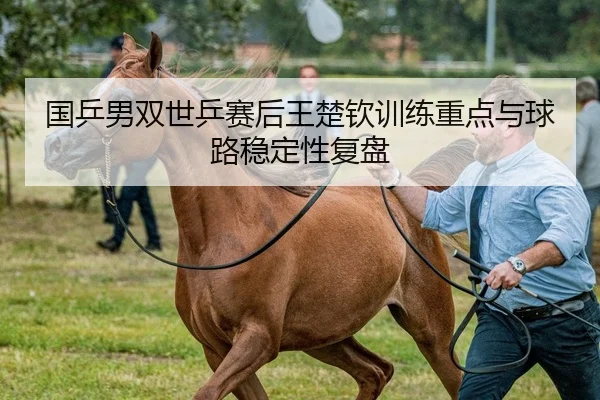 国乒男双世乒赛后王楚钦训练重点与球路稳定性复盘